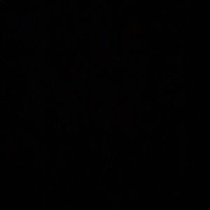 Meet your Posher, Brady